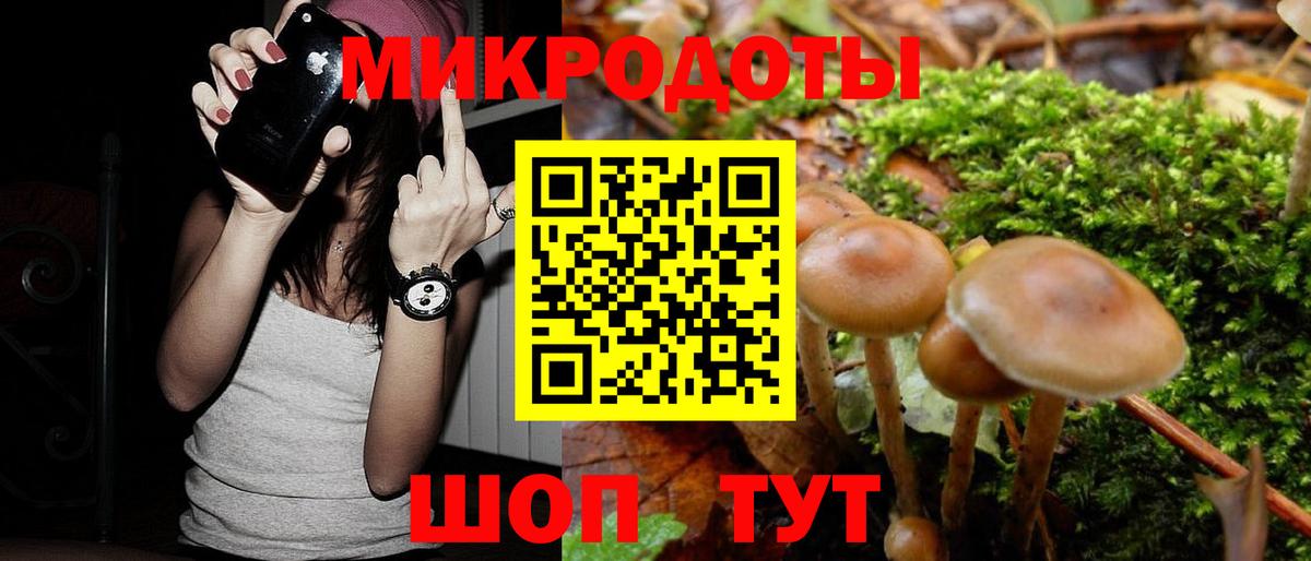 Галлюциногенные грибы мицелий  Вход с VPN  Алейск 