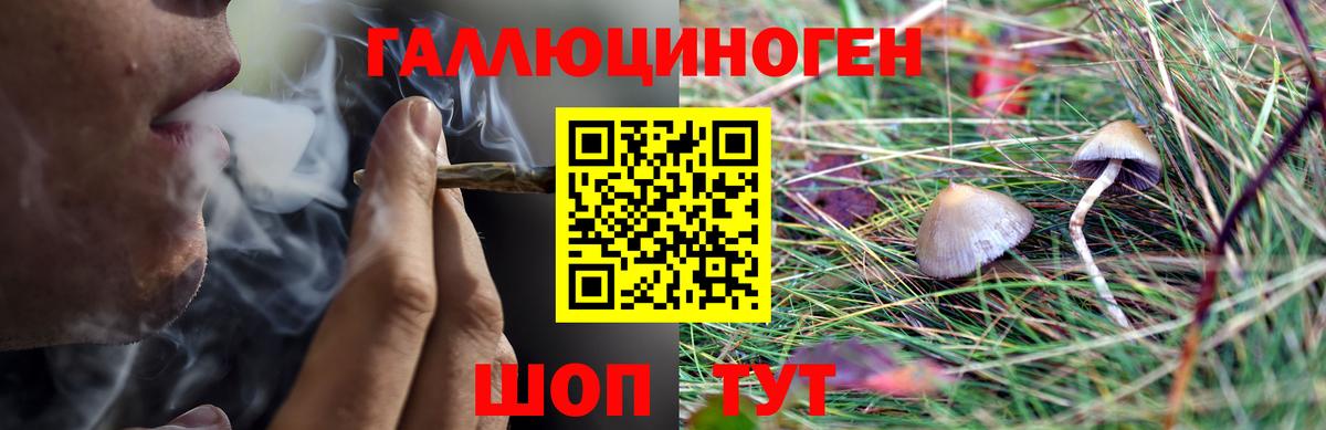 Псилоцибиновые грибы мухоморы Алейск